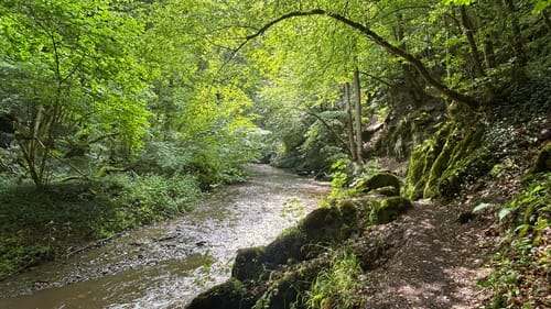 Baybachklamm (Traumschleife)
