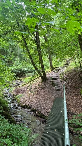 Baybachklamm (Traumschleife)