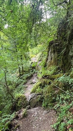 Baybachklamm (Traumschleife)