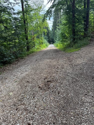 Langlau zur Halbinsel im Kleinen Brombachsee