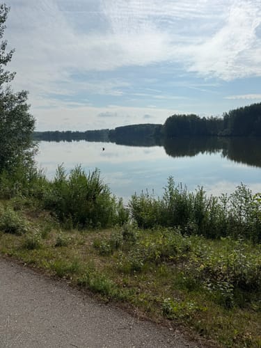 Langlau zur Halbinsel im Kleinen Brombachsee