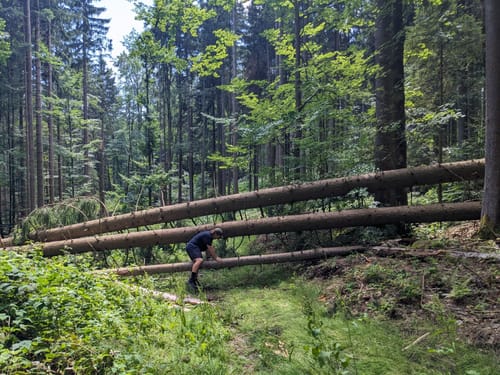 Ochseneben Trail