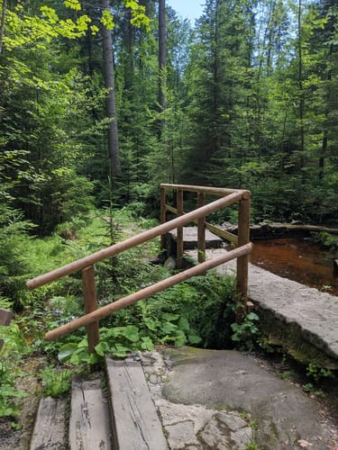 Ochseneben Trail