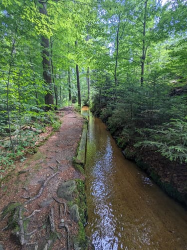 Ochseneben Trail