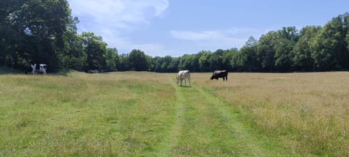 Naturschutzgebiet Borkener Paradies