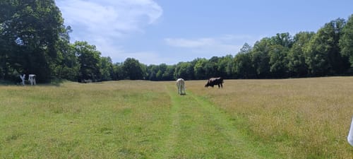 Naturschutzgebiet Borkener Paradies