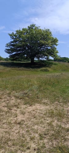 Naturschutzgebiet Borkener Paradies