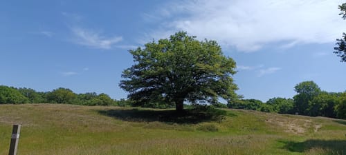 Naturschutzgebiet Borkener Paradies