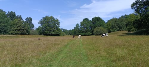 Naturschutzgebiet Borkener Paradies