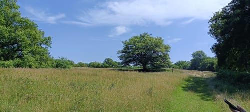 Naturschutzgebiet Borkener Paradies