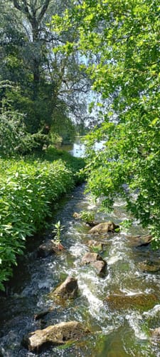 Naturschutzgebiet Borkener Paradies