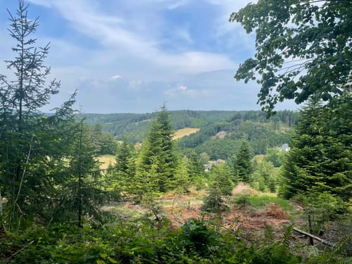 Einmal um den Kreiswald - Große Runde