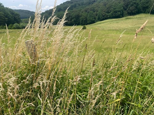 Einmal um den Kreiswald - Große Runde