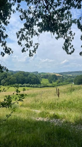 Einmal um den Kreiswald - Große Runde