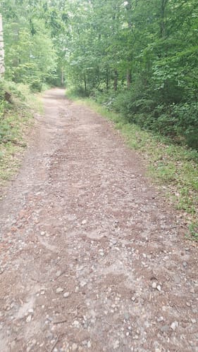 Wanderroute Boxberg-Waldhütten