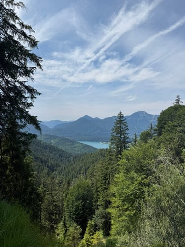 Altlacher Hochkopf