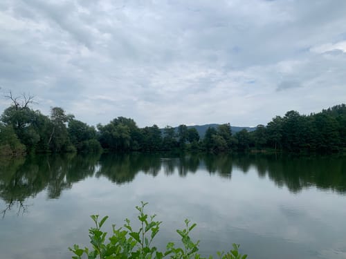 Söder Wald P7 (Premiumwanderweg)