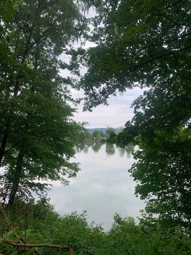 Söder Wald P7 (Premiumwanderweg)