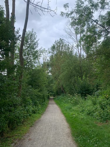 Söder Wald P7 (Premiumwanderweg)