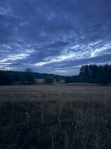 Rundweg Mackenbach-Schwedelbach
