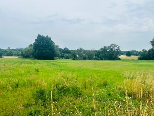 Lübarser Weg