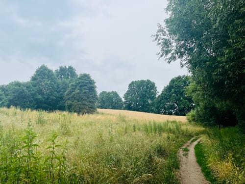 Lübarser Weg