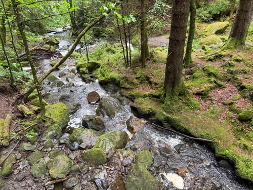 Der Ravennaschlucht Weg
