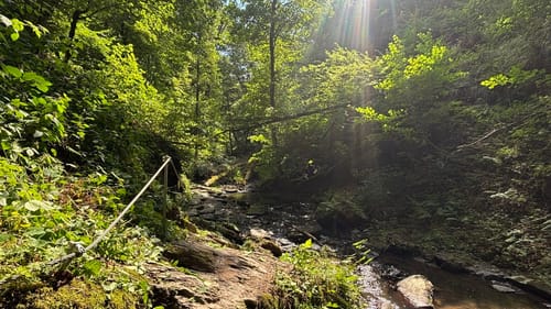 Ehrbachklamm (Traumschleife)