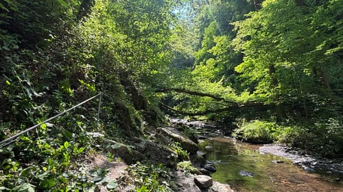 Ehrbachklamm (Traumschleife)