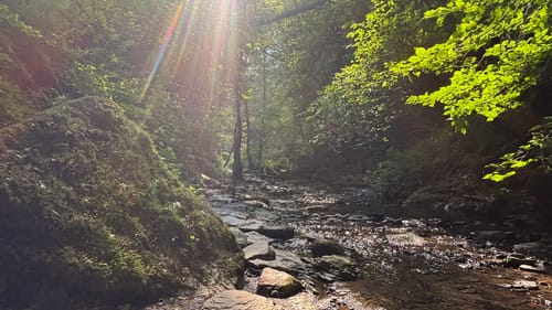 Ehrbachklamm (Traumschleife)