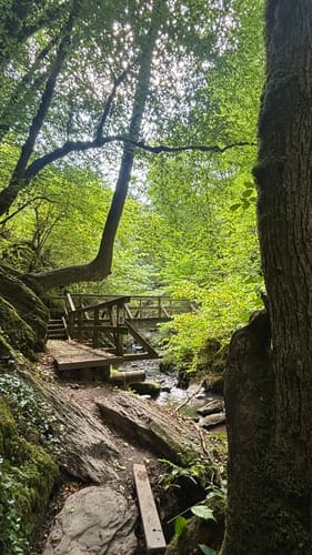 Ehrbachklamm (Traumschleife)