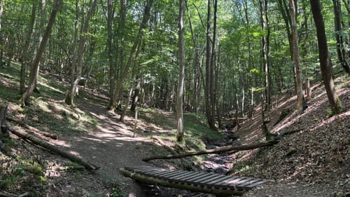 Ehrbachklamm (Traumschleife)
