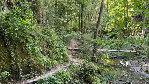 Ehrbachklamm (Traumschleife)