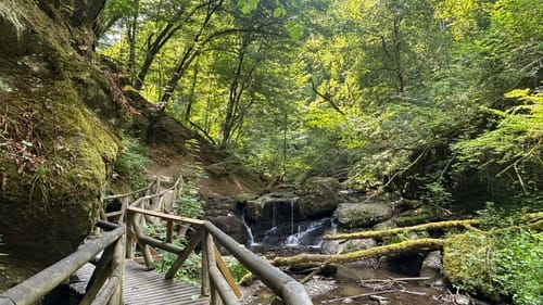 Ehrbachklamm (Traumschleife)