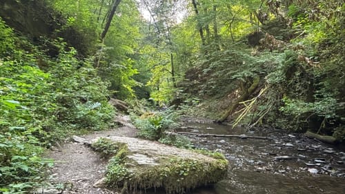 Ehrbachklamm (Traumschleife)
