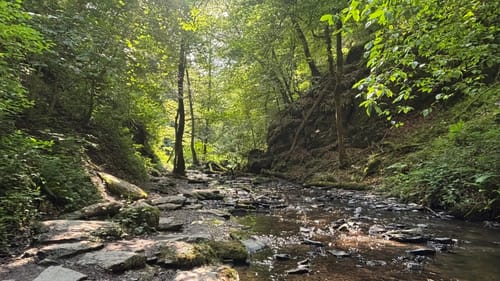 Ehrbachklamm (Traumschleife)