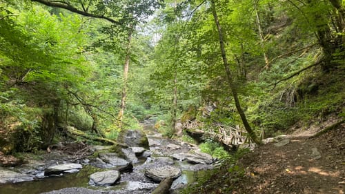 Ehrbachklamm (Traumschleife)