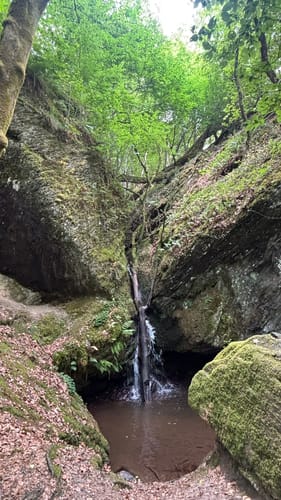 Ehrbachklamm (Traumschleife)