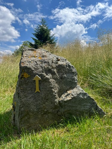 Hoppecke Quelle - Neuer Clemensberg