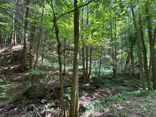 Kaskadenschlucht und Rotes Moor ab Sandberg
