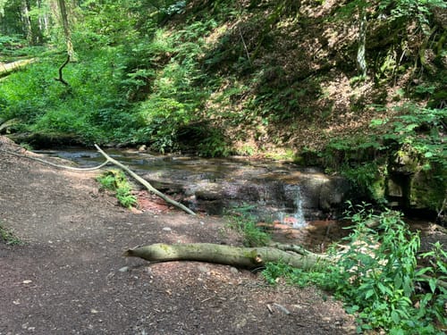Kaskadenschlucht und Rotes Moor ab Sandberg