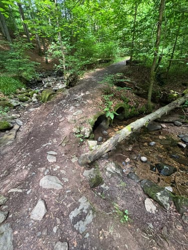 Kaskadenschlucht und Rotes Moor ab Sandberg
