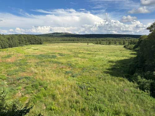 Kaskadenschlucht und Rotes Moor ab Sandberg