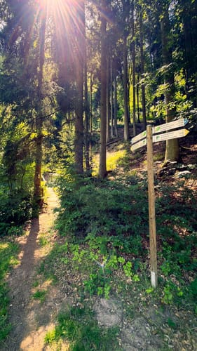 Großer Mühlenpfad im Oberen Salmtal