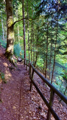 Großer Mühlenpfad im Oberen Salmtal