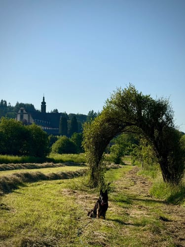 Großer Mühlenpfad im Oberen Salmtal