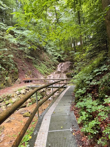 Wald-Lehrpfad Teisendorf