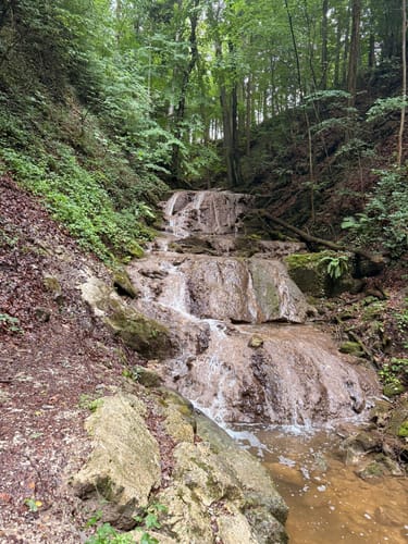 Wald-Lehrpfad Teisendorf
