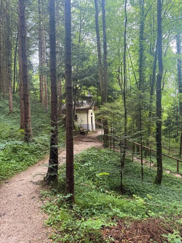 Wald-Lehrpfad Teisendorf