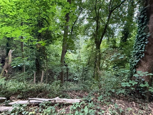 Um Schlossberg und zum St. Ottilien